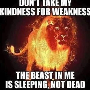 Meet your Posher, Bear